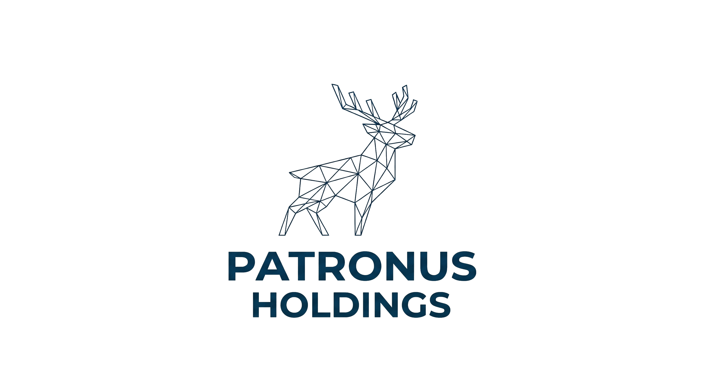 Patronus Holdings